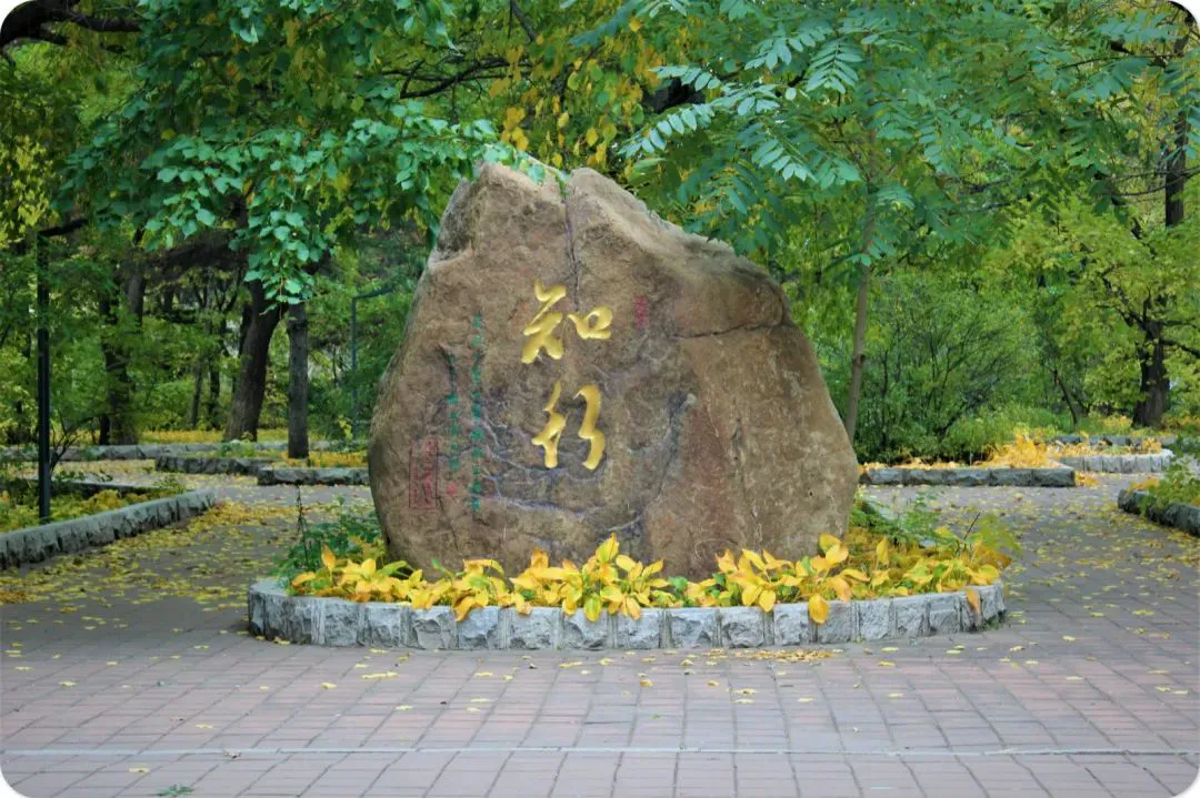 7岁儿童篮球基础训练计划方案_0
